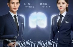 向风而行1-39全集百度云【1080P大结局】网盘资源下载