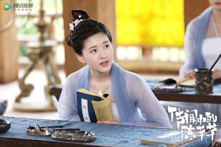 网议最爱的“国产剧女主人设”TOP 9！傻白甜第六、霸气御姐第四，疯批病娇美人进前三-13