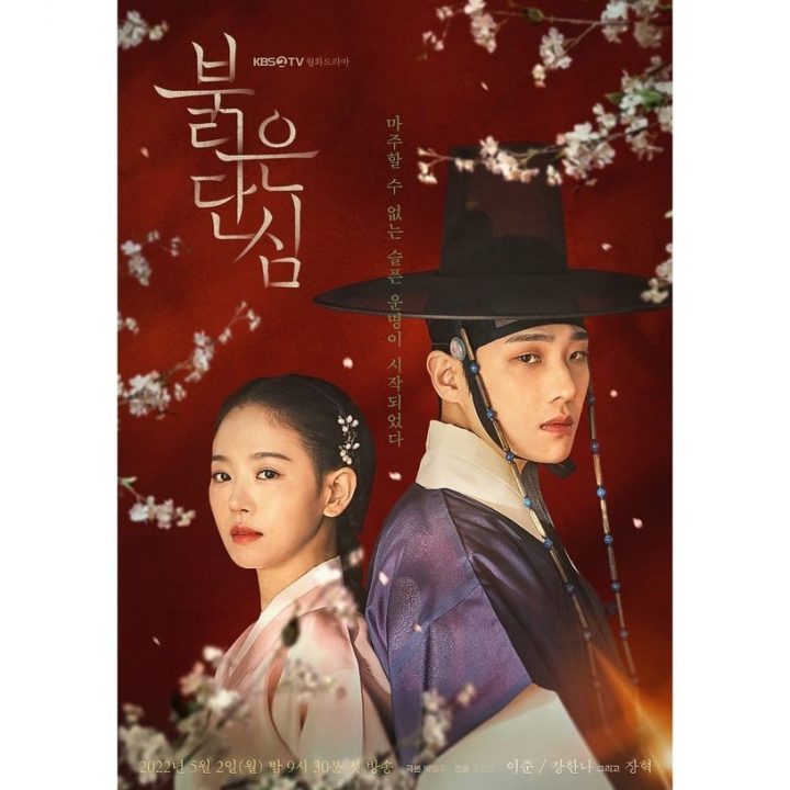 李准、姜汉娜《红丹心》预告出炉！政治对决结合乱世虐恋，上演“血色宫廷罗曼史”-2