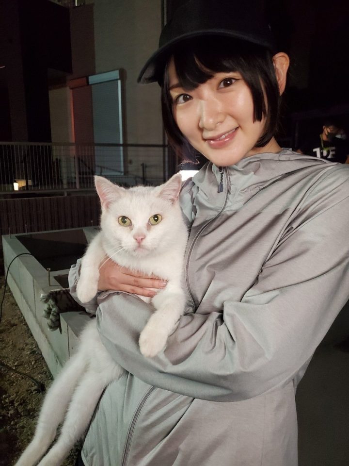 5位坂道偶像演员介绍！白石麻衣新剧热播，《梨泰院Class》作家钦点平手友梨奈