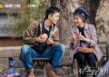 国产剧《去有风的地方》1-40全集百度云【高清bd1080P大结局】网盘资源下载缩略图