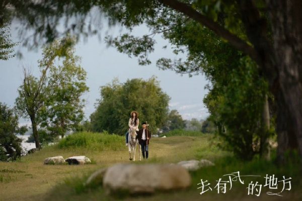 去有风的地方1-40全集百度云网盘资源【1280P超高清大结局】夸克网盘插图4