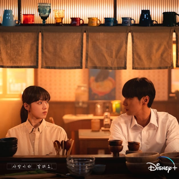 韩剧《原来这就是爱啊》8大剧情演员介绍！李圣经×金英光，伪骨科复仇虐恋？-2