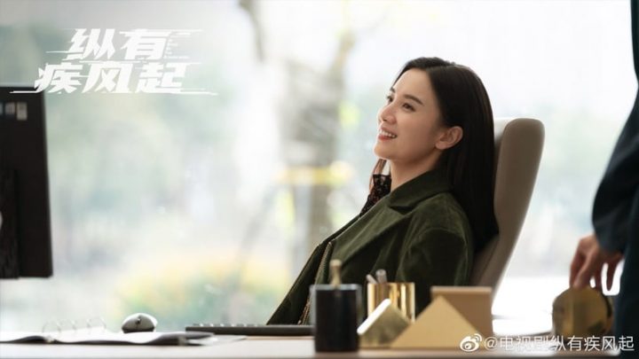 2023开年国产剧“集均网播量”Top10！《去有风的地方》第八，王鹤棣《浮图缘》开年前三-16