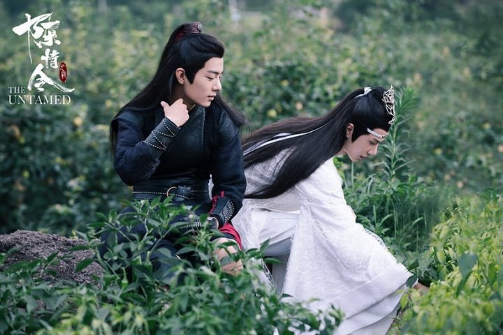 耽改国产剧豆瓣评分榜TOP10！《君子盟》第八，肖战&王一博《陈情令》才第四，冠军真好嗑-25