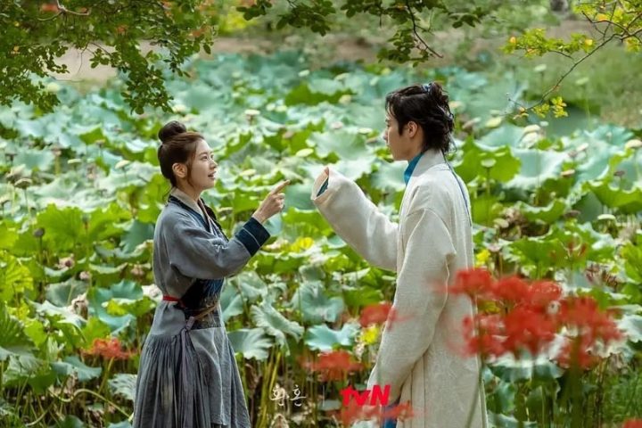 Netflix掀“旧剧逆袭”潮！《哲仁王后》&《女神降临》空降三四名，这部国产剧竟霸榜整月-27