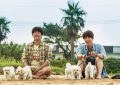 韩国温情电影《小奶狗》电影下载百度云资源「1080p/高清夸克网盘」云网盘缩略图