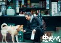 忠犬八公百度云【BD720P/3.9G-MP4】高清版未删减完整版迅雷BT资源缩略图