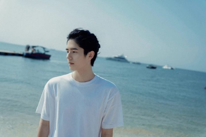 网评“95后最帅国产剧男星”Top10！王一博没前十，许凯第四，王鹤棣第三，冠军是真的帅-9