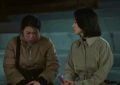 黑暗荣耀第二季百度云网盘资源〖720P1080pMp4全集韩语中字版〗迅雷下载缩略图