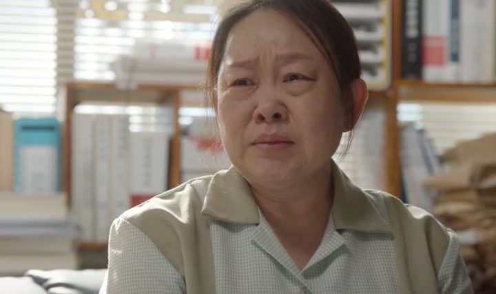《离婚律师申晟瀚》8大吸睛配角！恶婆婆曾是顶级女星，他是《黑暗荣耀》如炡复仇关键-17