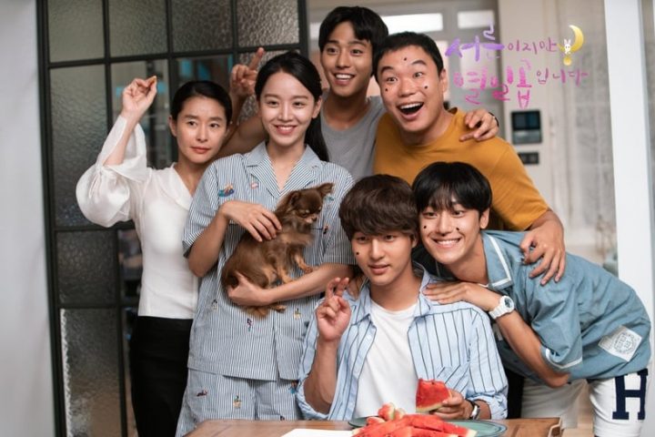 Netflix温馨疗愈韩剧推荐！《离婚律师申晟瀚》温暖人心，《没关系是爱情啊》更是经典-20