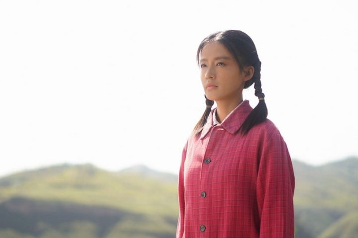 热播国产剧角色指数榜TOP10！陈都灵“叶冰裳”第十，白鹿“黎苏苏”打败吴磊“宋三川”-9