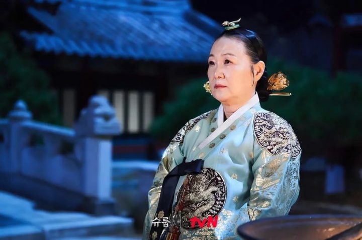 韩剧“妈妈专业户”！《车贞淑医生》婆婆演过玄彬&李敏镐妈，她号称“韩国最美妈妈”-10