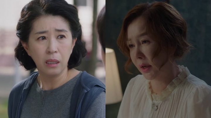 韩剧“妈妈专业户”！《车贞淑医生》婆婆演过玄彬&李敏镐妈，她号称“韩国最美妈妈”-3