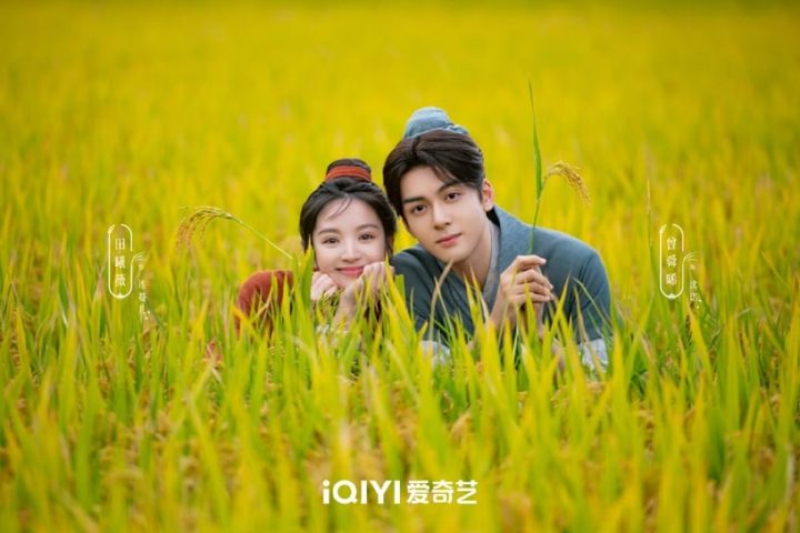 2023下半年排播10部强档古装剧！杨紫《长相思》要PK热巴《安乐传》？年底还有肖战能看-15
