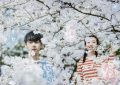 8部破镜重圆国产剧推荐！杨洋×王楚然《我的人间烟火》、谭松韵×井柏然《归路》缩略图