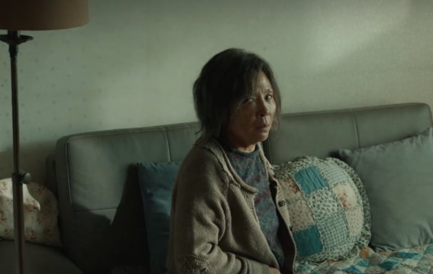韩剧《有院子的家》10大剧情演员介绍！《寄生上流》剧版？金泰希×林智妍双女主-10