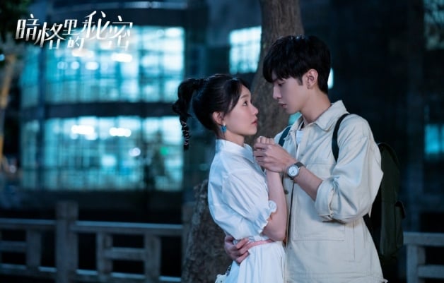 《偷偷藏不住》1-25全集百度云网盘资源下载[BDHD-MP4MKV-1080P]阿里云盘-14