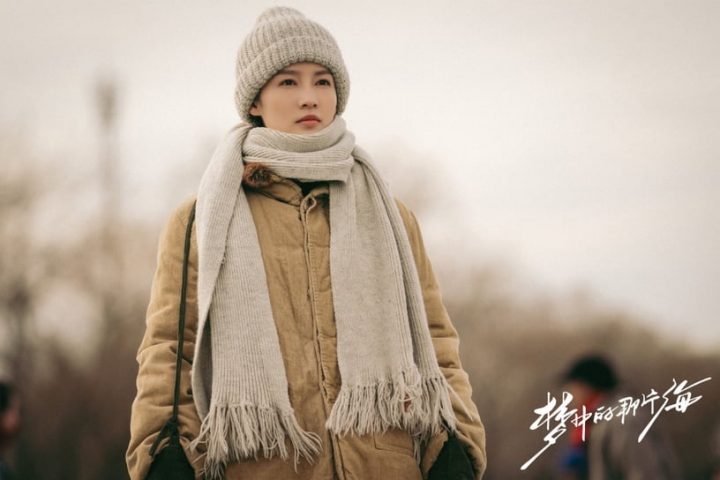 2023上半年国产剧收视率Top10！肖战《梦中的那片海》进榜《向风而行》第4，冠军真赢不了-2