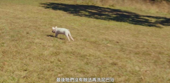 《壞媽媽》6個劇情隱喻！被關的“豬”象徵強豪，黃色代表幸福，這幕暗示強豪拋棄媽媽-1