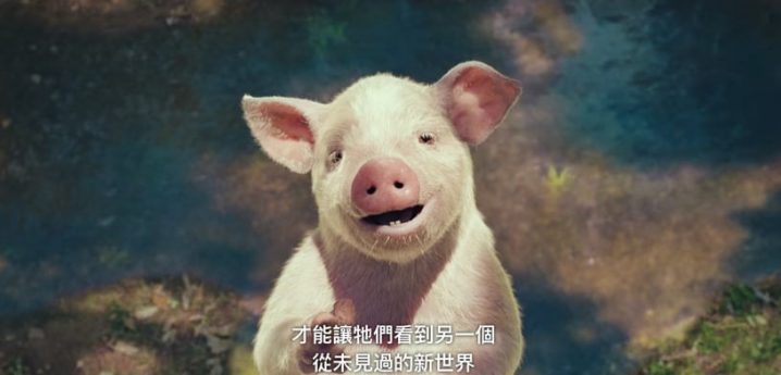 《壞媽媽》6個劇情隱喻！被關的“豬”象徵強豪，黃色代表幸福，這幕暗示強豪拋棄媽媽-3
