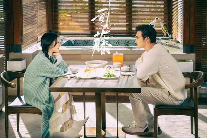 近3年“最高热度”现代国产剧TOP10！《司藤》第三，《余生请多指教》第二，冠军真太火了-22