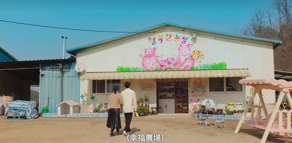《坏妈妈》结局8个隐藏彩蛋！美珠变机智医生，全家福后藏真心，这幕象征英顺幸福离世-13