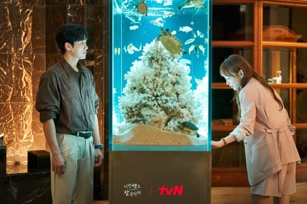 近期5部热门韩剧评价！《今生也请多指教》剧情好，《欢迎来到王之国》太老套网评两极-8