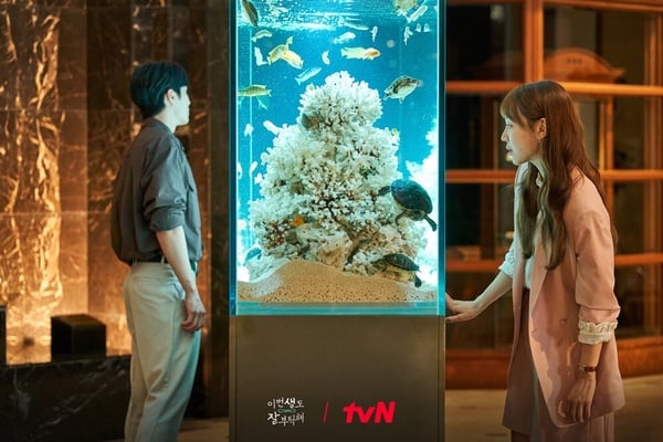 6月韩剧积分TOP6！《欢迎来到王之国》第5《猎犬》第3，冠军打败《医生车智淑》-2