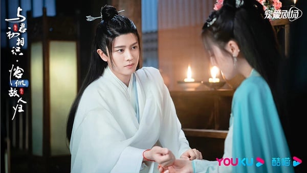 优酷近年“播放指数最高”国产剧TOP10！《偷偷藏不住》第7，《沉香如屑》输《长月烬明》-26