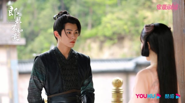 陈哲远国产剧《郎君不如意》1-30全集百度云网盘「免费完整版1080P高清资源」迅雷下载-8