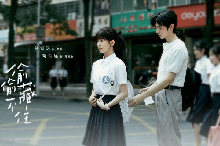 甜寵国产剧《偷偷藏不住》趙露思×陳哲遠35句純愛語錄：去愛一個人不顧所有-21