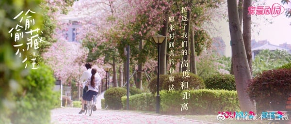 《偷偷藏不住》15句纯爱经典语录：“是你让我突然很想试试看，去爱一个人不顾所有”-5