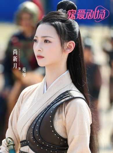 国产剧10位古裝鎧甲女星！《安樂傳》迪麗熱巴非最颯，虞書欣俏皮甜、張天愛冷豔美-4
