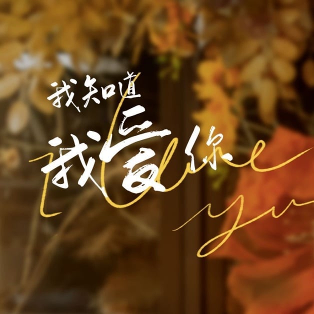 “张晚意”介绍＋12部国产剧推荐！《长相思》玱玹爆红，杨紫组成“电瓶车兄妹”-12