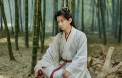 近3年“流量明星主演”豆瓣破8分精品国产剧！《莲花楼》8.0赢《长相思》，第十部逼近9分缩略图