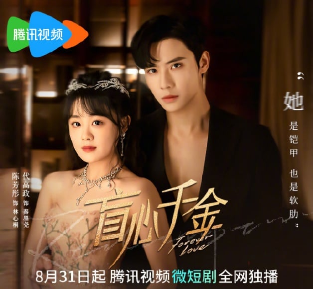 国产剧《盲心千金》1-30全集百度云网盘资源【BD-720p1080p蓝光4K高清】迅雷下载-1