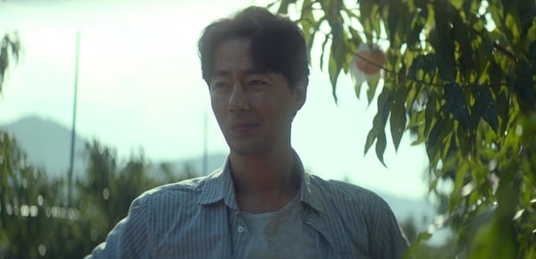 《超异能族》剧情7个幕后彩蛋！“果园戏”赵寅成有故意变落魄，洙源这时最讨厌斗植-8