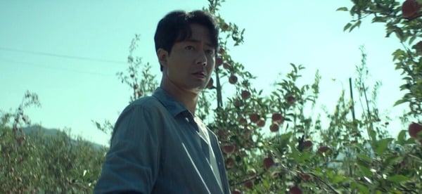 《超异能族》剧情7个幕后彩蛋！“果园戏”赵寅成有故意变落魄，洙源这时最讨厌斗植-7