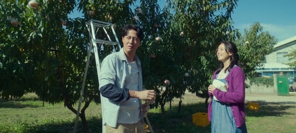 《超异能族》戏外8件必知趣事！金斗植是恋爱脑，强勋想演李美贤，原因实在太爆笑！-4