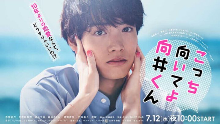 2023日剧《往这边看向井君》百度云资源迅雷网盘1080P高清版免费下载链接