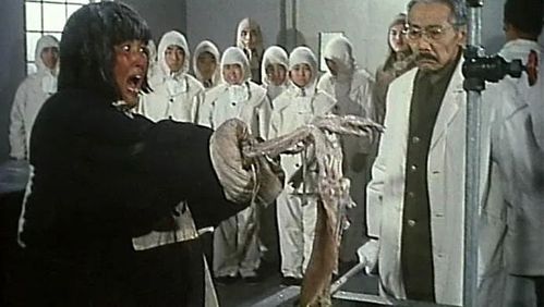 《黑太阳731》拍摄过程极不人道，杀猫烧老鼠连导演外甥女都唔放过缩略图