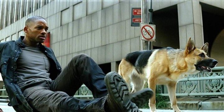 威尔·史密斯要如何回归《我是传奇2》？编剧：故事会从《我是传奇》的“DVD收录版结局”开始发展