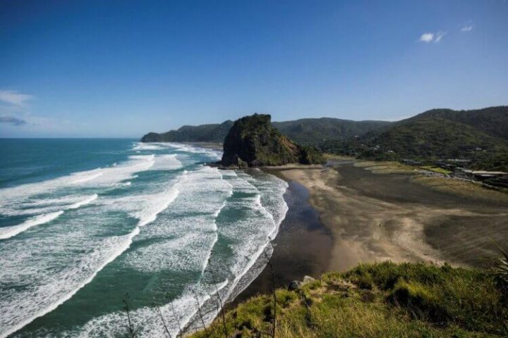爱故乡的好男人！塔伊加·维迪提携手新西兰旅游局推在线宣传视频《世间无与伦比的地方》