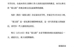 我们一起摇太阳下载国语版加长版（HD1280P/3.3G-MKV）百度云在线观看缩略图