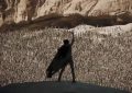 《沙丘2》百度云盘高清1280P/3.6G-MP4国语中字完整版资源上线缩略图