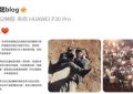 丁晟对谢飞现场批评的回应：珍视并欣赏前辈导演的锐利评论缩略图