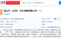 汪峰章子怡手握公司半数股份缩略图