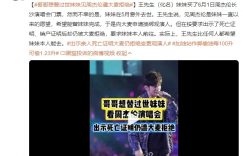 哥想替天堂的妹妹看周董演唱会，大麦网不让进，连死亡证明都给了还是得本人来缩略图